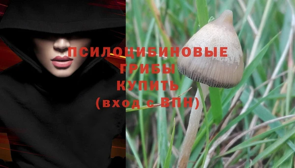 прущие крисы Нефтекумск