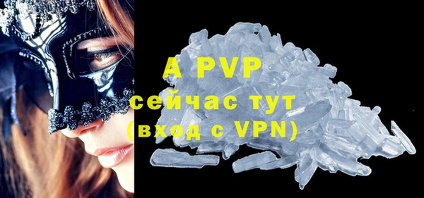 стаф Новозыбков