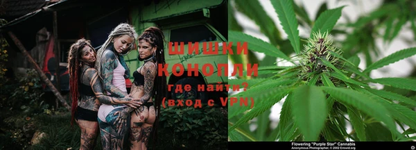 прущие крисы Нефтекумск