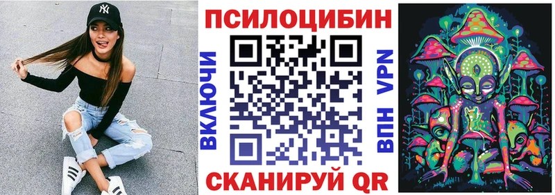 Купить закладки  Зеленогорск  Псилоцибиновые грибы GOLDEN TEACHER 